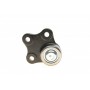 Опора кульова (передня/знизу) Ford Fiesta V 01-08/Fusion 02-12/Mazda 2 03-07