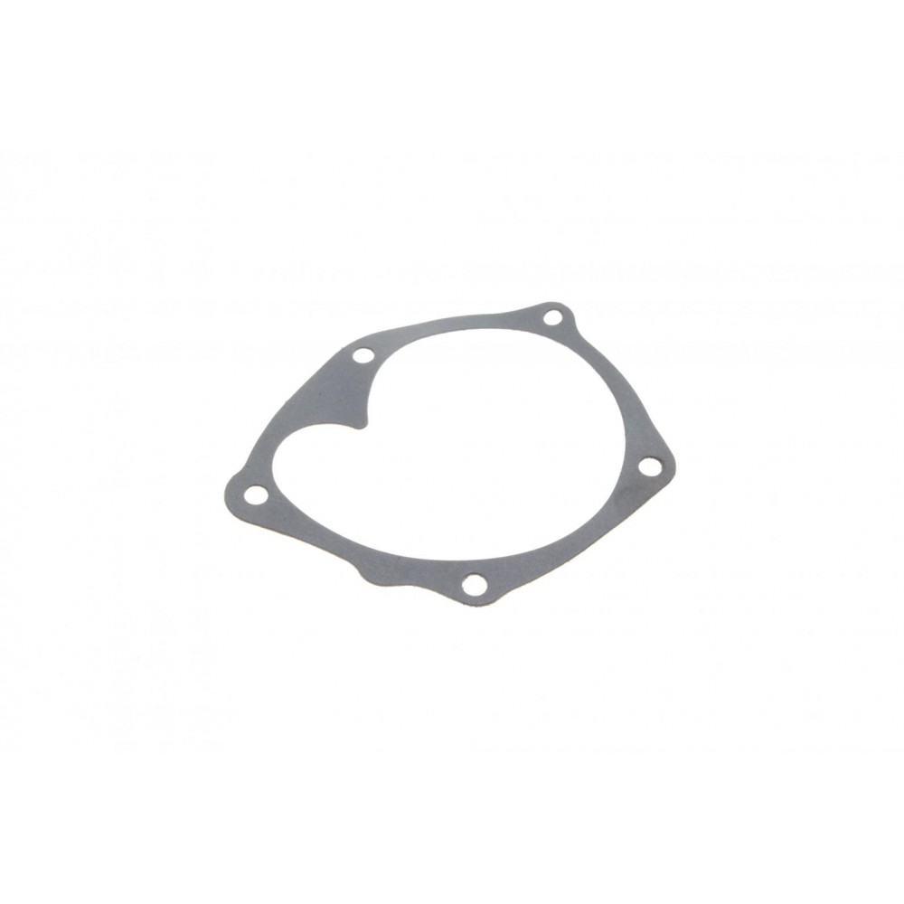 Помпа води Renault Megane III/Scenic III 1.9dCi 08-/Suzuki Grand Vitara 1.9DDiS 05-15