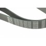Ремінь генератора MB Vario OM904 (8PK1420)