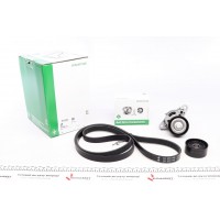 Комплект ременя генератора Renault Megane/Scenic 00-09, (5PK1750)