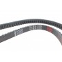 Ремінь генератора Toyota Hilux/Land Cruiser 2.4D 88-02/Ford Sierra 2.8 87-88