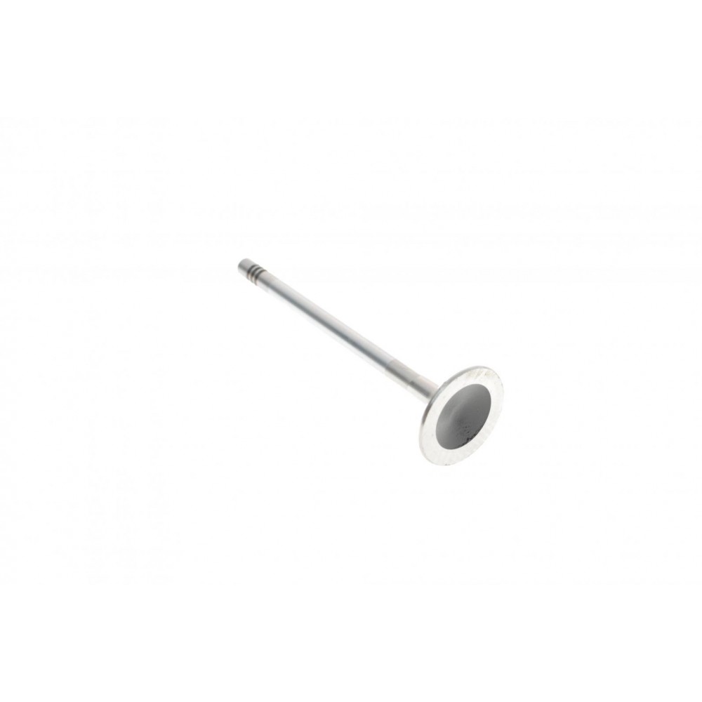 Клапан (випуск) Opel Astra G/Insignis A/Vectra B/C/Zafira A/B (30.1x6x101)