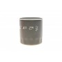 Фільтр масляний Toyota Camry 3.0i 91-06/Land Cruiser 84-/Hilux 97-