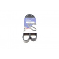 Ремінь генератора BMW 3 (F30)/5 (F10) 11-16 (N55B30A) (8PK942)