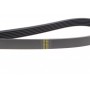 Ремінь генератора Land Rover Discovery III 4.4 04-13 (6PK2345)