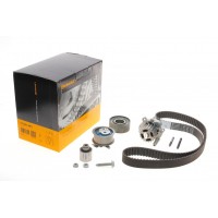 Комплект ГРМ + помпа VW Passat/Golf 2.0TDi 03- (30x141z)