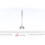Клапан (впуск) Opel Astra F/G/Vectra A 1.6D/1.7D 82-00 (36x8x123.2) (вальцювання)