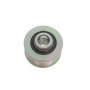 Шків генератора Renault Clio 1.5 dCi 04-