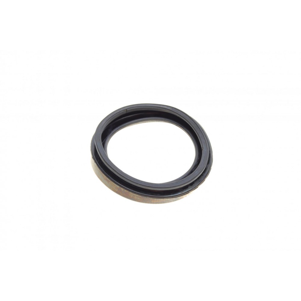 Ремкомплект супорта (переднього) Citroen Jumpy/Fiat Scudo 95-06 (d=60mm)(+ поршен/направляю)(Lucas)