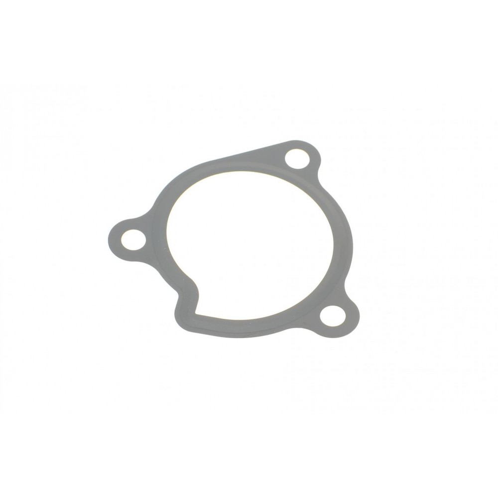 Прокладка помпи води Nissan X-Trail/Renault Koleos 2.5 07-