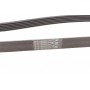 Ремінь генератора Opel Vectra/Astra G 2.0/2.2 DTI 00-05/Renault Koleos 2.5 08-