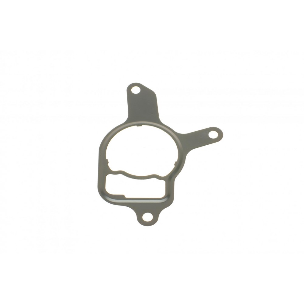 Прокладка насоса вакуумного VW Golf VI/Jetta III/IV 2.5 06-