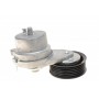 Натяжник ременя генератора Chevrolet Captiva 2.0/2.2D 10-