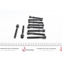 Болти головки (к-кт 10шт.) Audi 100/A4/VW Polo/Golf 1.3-2.0 90- (92mm)