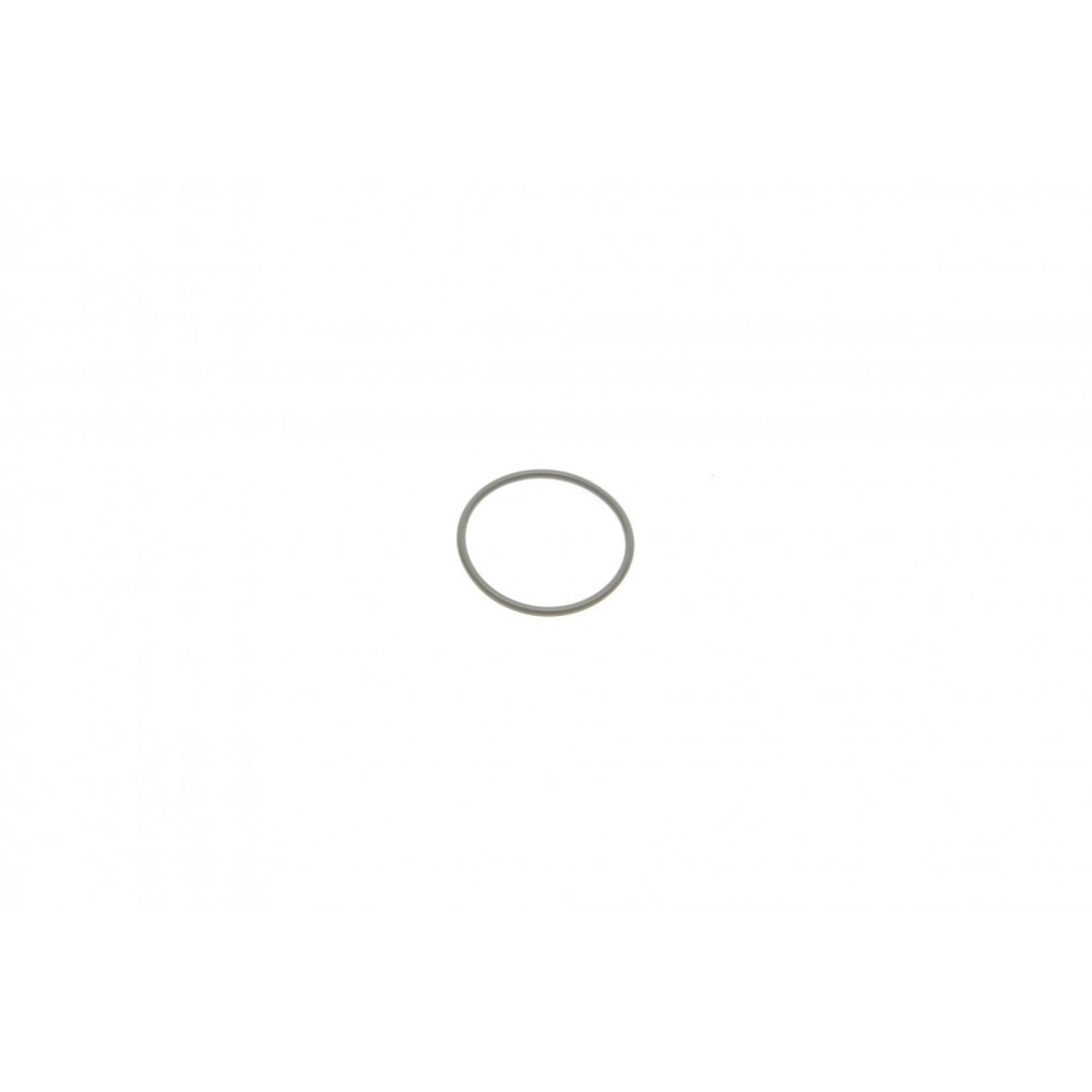 Прокладка насосу паливного Audi/VW/Ford/MB/Opel/Renault (31x2mm)