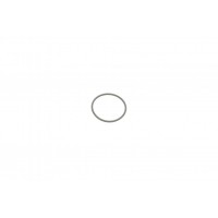 Прокладка насосу паливного Audi/VW/Ford/MB/Opel/Renault (31x2mm)