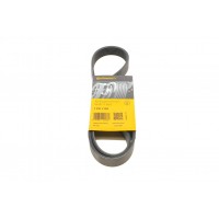 Ремінь генератора Renault Megane/Scenic 1.9dCi/2.0 03-/Nissan Juke 1.6 10-