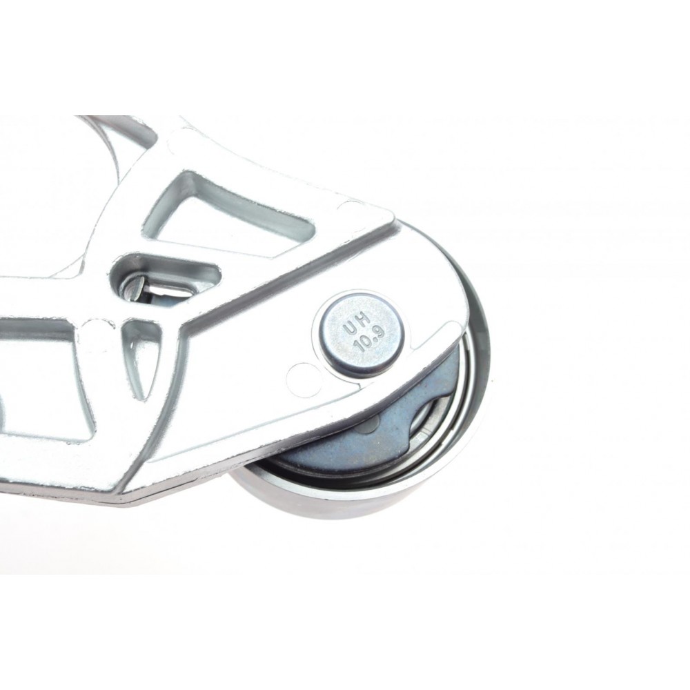 Комплект ГРМ Citroen C5/C6/C8/Peugeot 406/407/607/807 3,0 V6 96- не постачається виробником