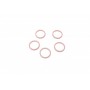 Кільце ущільнююче (O-ring) Renault (5 шт.)007950024400