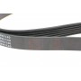 Ремінь генератора VW Caddy/T5 1.9TDI/ Renault Trafic 1.9D/ Honda Jazz/ S2000 1.2-2.0 99- (6PK1140)