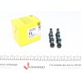 Комплект болтів, маховик Citroen C4/C5/Jumpy 94-
