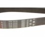Ремінь генератора MB E-class (W212)/S-class (W221) 09- (7PK2005