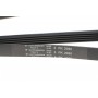 Ремінь генератора BMW 3 (E46)/5 (E39)/7 (E38)/X5 3.0D 98-05 (5PK2060)