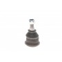 Опора кульова (передня) Hyundai Accent I/II 94-05/ Elantra 00-06/ Kia Cerato 04-/ Rio 11-