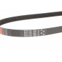 Ремінь генератора Citroen Jumper/Fiat Ducato/Peugeot Boxer 2.0/2.2HDi/JTD 02-