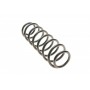 Пружина (задня) VW Polo 1.2-1.4/1.4-1.9TDI 01-09/Skoda Fabia 1.0-1.2TSI/1.2-1.4TDI 07- (B3)