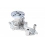 Комплект ГРМ + помпа Ford Focus III/Fiesta VI/VII/Transit Courier 1.0-1.1 12-