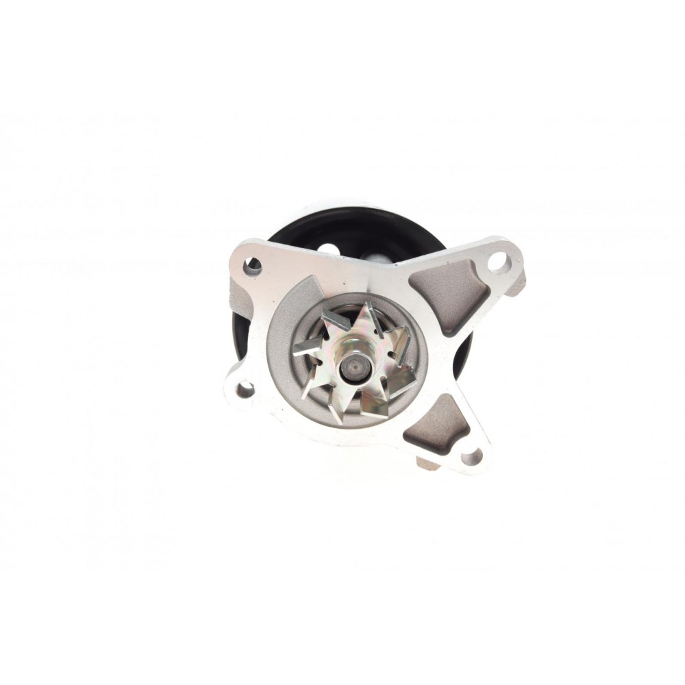 Помпа води Renault Laguna III/Megane III/Scenic III/Nissan X-Trail/Qashqai 2.0 16V 07-