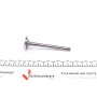 Клапан (впуск) VW Caddy/T3 1.6D/1.7D 81-92 (34x8x104.9) (азотований)