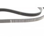 Ремінь генератора Hyundai i10/i20 1.2 13- (5PK1236)