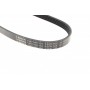 Ремінь генератора Ford C-Max/ Focus/ Volvo S40 1.8-2.0 06-12 (5PK705)