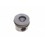 Поршень Renault Megane II/Laguna II 1.9dCi 02- (80.50mm/+0.50)