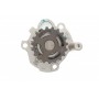 Помпа води Skoda Fabia 1.4TDI/1.9TDI 00-10/Octavia 1.9TDI 04-13/VW Caddy/Golf/T5/Polo 1.9TDI 05-10 (WPQ1196)