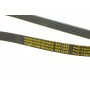Ремінь генератора Renault Kangoo/Megane/Laguna 1.4/1.5 dCi/1.6 03-/Audi A6 4.2FSI 06-11