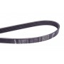 Ремінь генератора VW LT 2.5TDI -06/T4 2.5 91-03/Ford Connect 1.8 TDCi 02-07