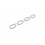 Прокладка колектора впускного Nissan Qashqai/Renault Clio 2.0 06-14