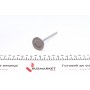 Клапан (впуск) Nissan Primastar/Opel Vivaro/Renault Trafic 1.8/2.0 98- (33.4x5.5x110.7)
