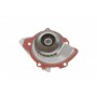 Помпа води Citroen C4/C5/C8/Jumpy/Fiat Scudo/Peugeot 308/407/508/Ford Focus/Mondeo 2.0HDi/TDCi 09-