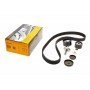 Комплект ГРМ Renault Kangoo/Duster/Logan/Megane/Clio 1.6 16V 01- (27x132z)