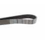 Ремінь генератора Citroen C5/Renault Laguna 3.0i 01-