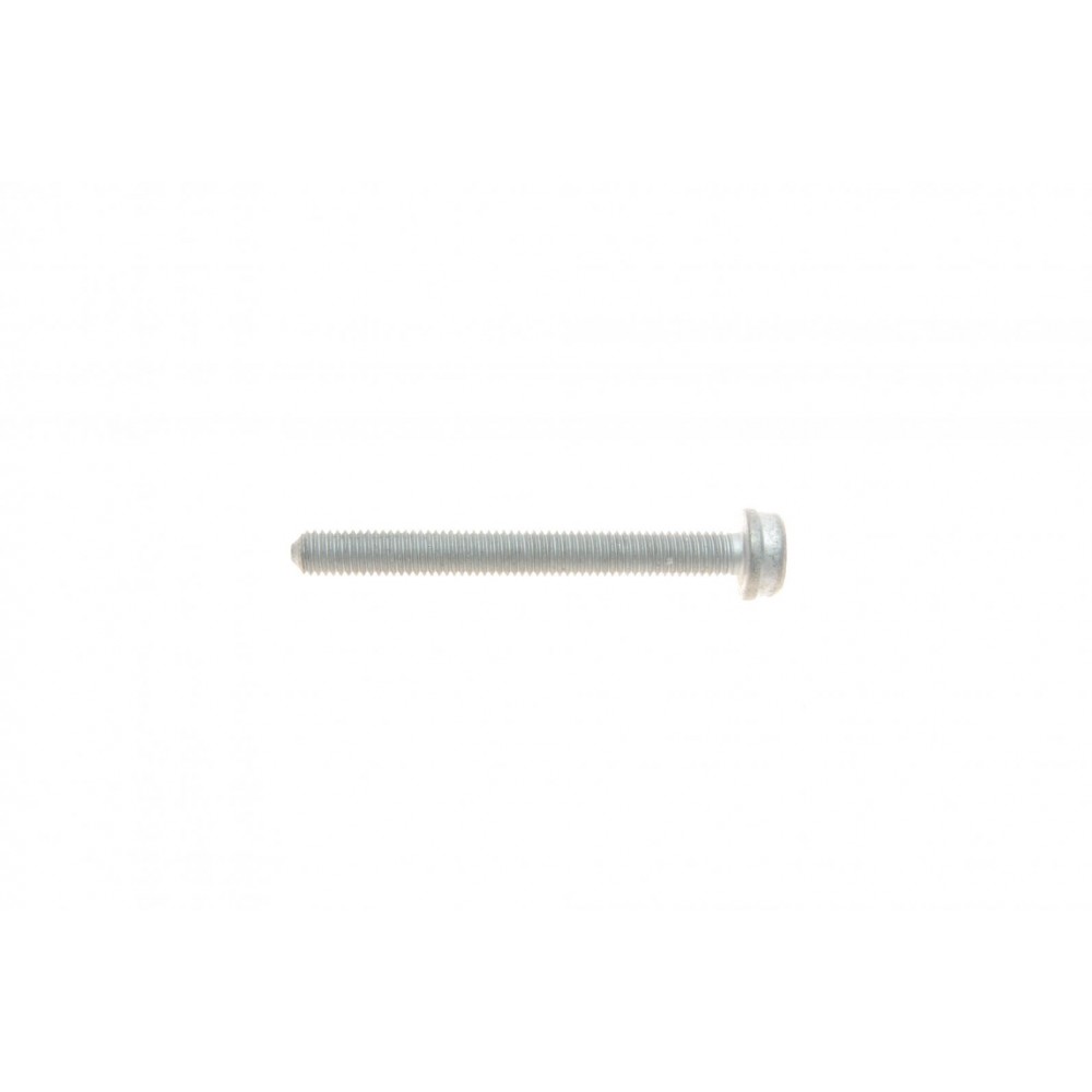 Болт кріплення насосу ГПК Audi A8 10-17/VW T5/T6 03- (M8x75)