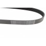 Ремінь генератора VW Golf/Skoda Octavia 2.0i 04-13/Mazda 2/3 1.5 13-/Kia Ceed 1.4/1.6 07- (6PK955)