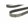 Ремінь генератора Toyota Hilux/Fourtuner 2.5D/3.0D 04-