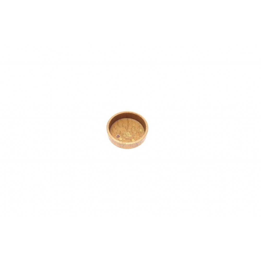 Заглушка блоку циліндрів (d=19,5mm) Латунь/Brass (знято з постачання)