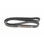 Ремінь генератора VW LT 28-35 2.5 SDI 96-06 (8PK2482)