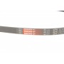Ремінь генератора Great Wall C30/Florid/Haval/Voleex 1.5 08-
